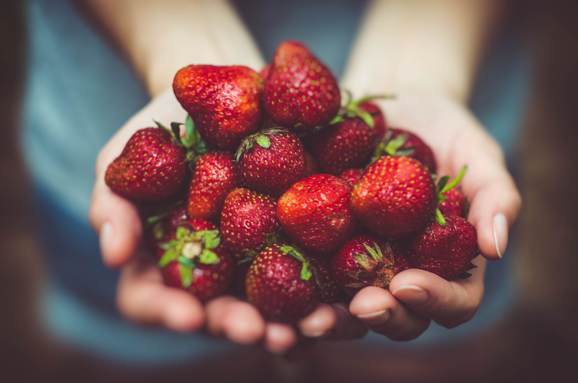 Hands holding strawberries